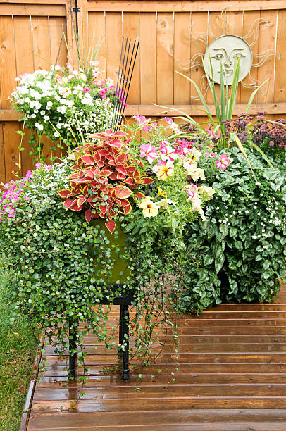 Large concrete pot of flowers sitting in a pond.