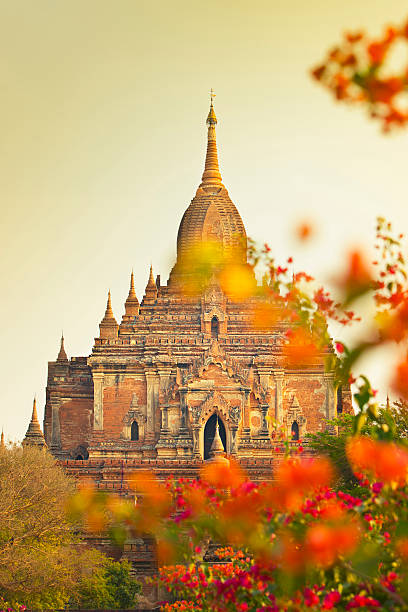 틸로민로 관자놀이 - vibrant color front view bagan myanmar 뉴스 사진 이미지