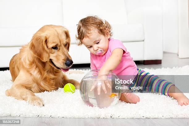 Photo libre de droit de Bébé Et Chien Prendre Un Poisson Rouge banque d'images et plus d'images libres de droit de Bébé - Bébé, Chien, Animaux de compagnie