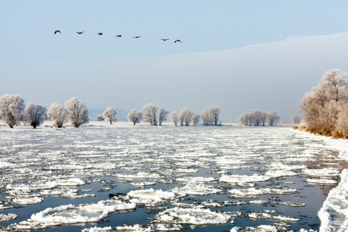 Winter landscape at Elbe River. Frost on trees and ice on the Elbe River.