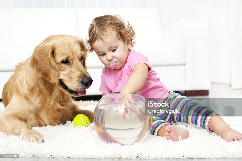 Bebé y perros Disfrute de una carpa dorada - Foto de stock de 12-17 meses libre de derechos