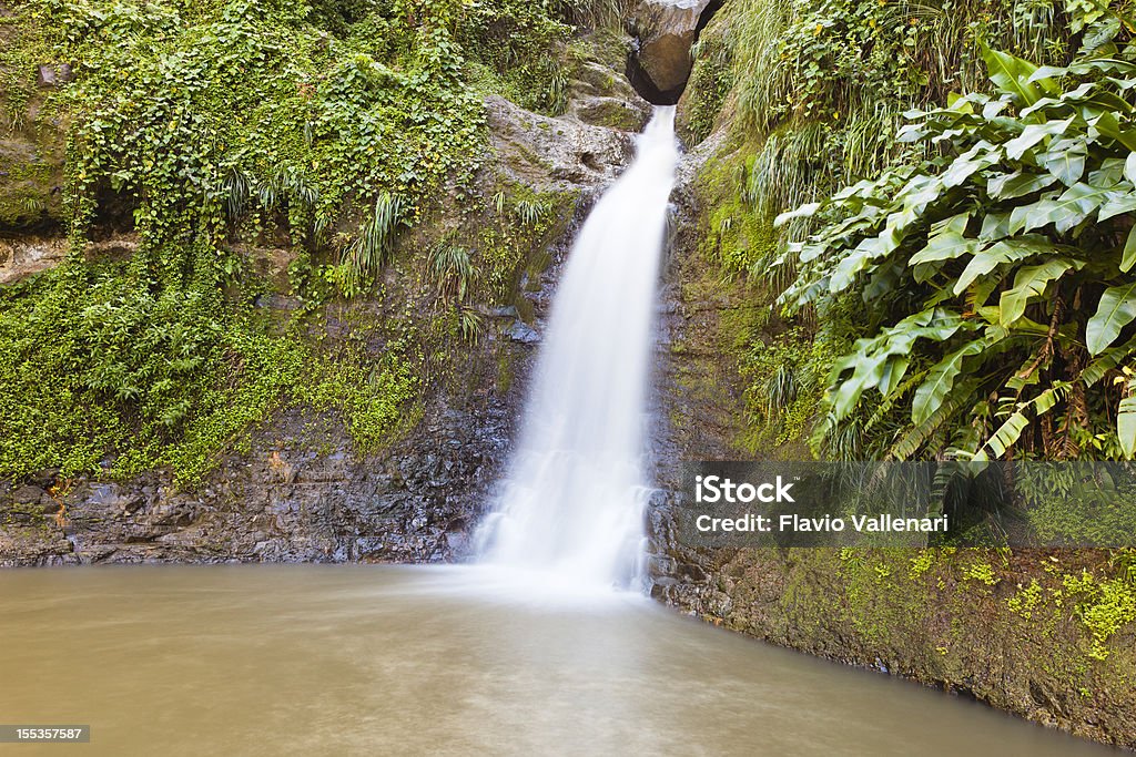 Constantine Falls, Grenada - Foto stock royalty-free di Acqua