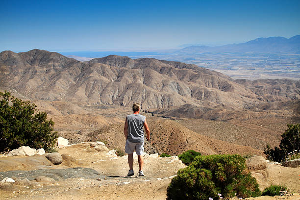 istock Man at lookout over Coachella Valley 155357786