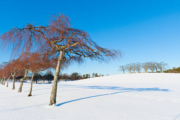 Unesco World Heritage, Woodland cemetery (Skogskyrkogarden) in Stockholm, Sweden.