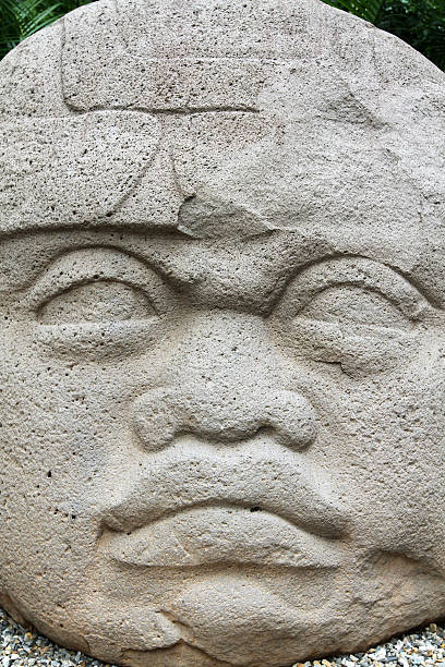 Colossal Olmec The Olmec were the first major civilization in Mexico. They lived in the tropical lowlands of south-central Mexico, in the modern-day states of Veracruz and Tabasco. olmec head stock pictures, royalty-free photos & images