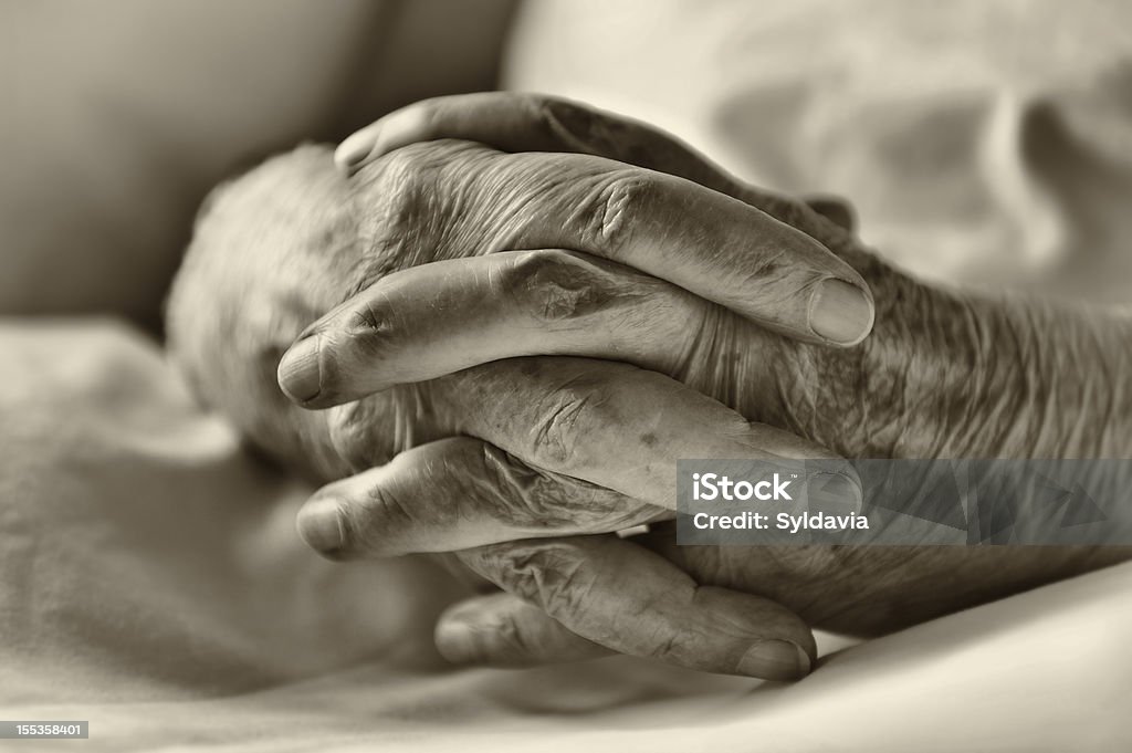 Hands  80-89 Years Stock Photo