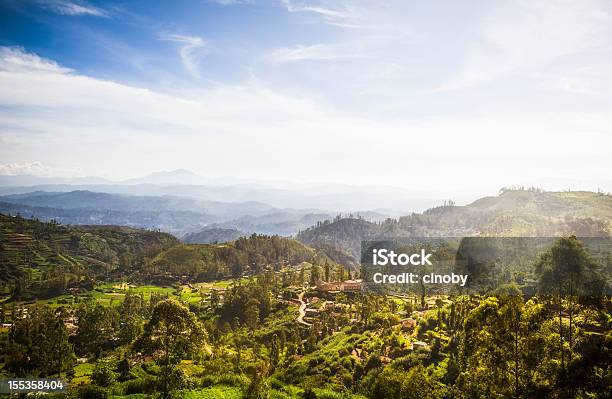 Altopiani Di Ceylon Vicino Nuwara Eliya - Fotografie stock e altre immagini di Sri Lanka - Sri Lanka, High Country, Camellia sinensis