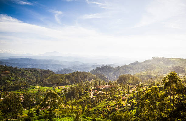 ceylon highlands perto de nuwara eliya - nuwara elia - fotografias e filmes do acervo