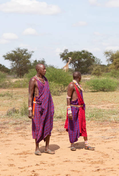 istock Two masaj warriors in the bush with giraffe. Kenya 155358866