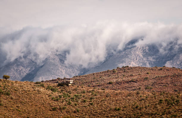 istock Landscape of Game Reserve 155359223
