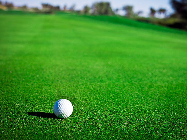 istock Golf Ball on a Green XXXL 155359248