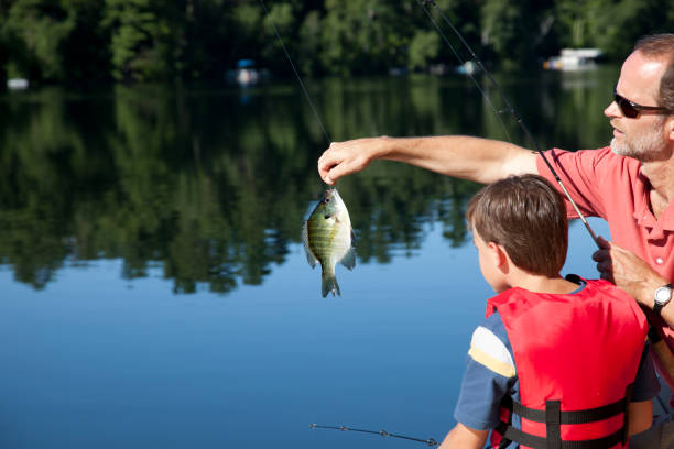 istock Father and Son Fishing 155359323