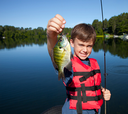 Young boy catching a sunfish.
