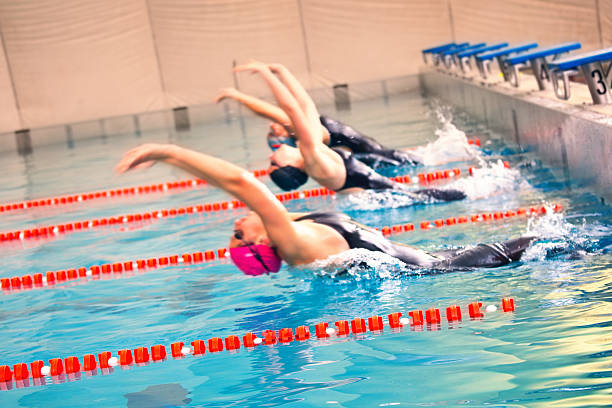 istock Female professional swimmers 155359578