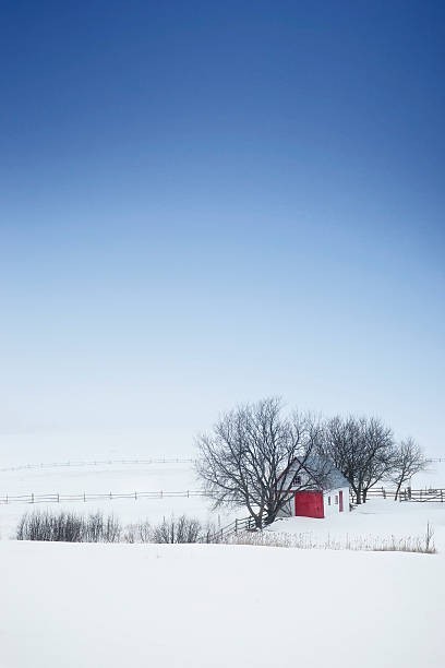 Hiver, Île-du-Prince-Édouard. - Photo