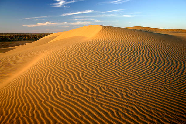 Golden sand dunes in Thar desert in Rajasthan, India.