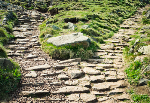 A choice between two rocky hiking paths.