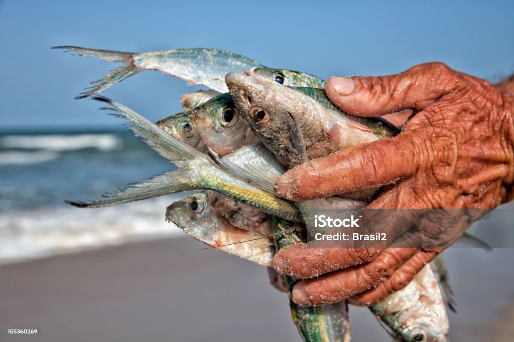 Pescador - Foto de stock de Peixe royalty-free