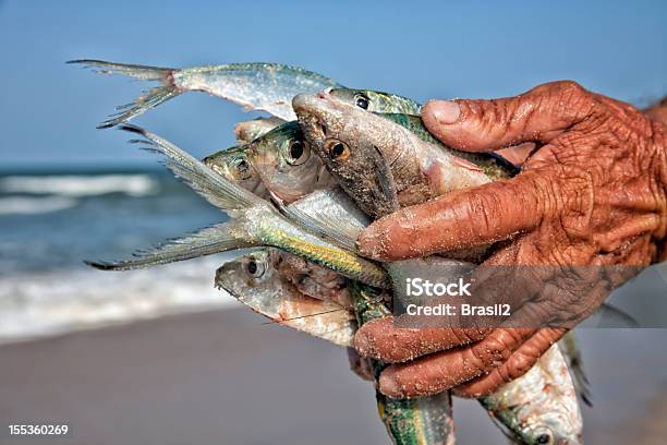 Foto de Pescador e mais fotos de stock de Peixe - Peixe, Pescador, Pescador masculino