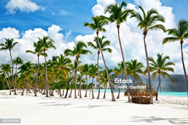 Cap Cana Seacoast - Fotografias de stock e mais imagens de República Dominicana - República Dominicana, Punta Cana, Praia