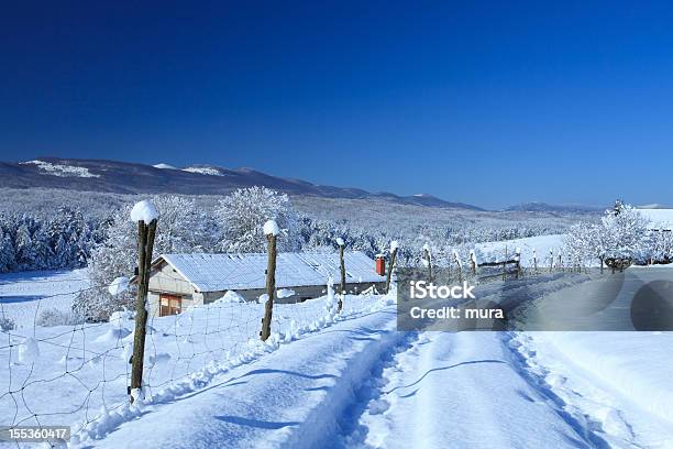 Winter Time On Countryside Stock Photo - Download Image Now - Beauty In Nature, Clear Sky, Cold Temperature