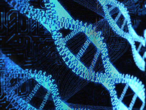 DNA binary stock photo