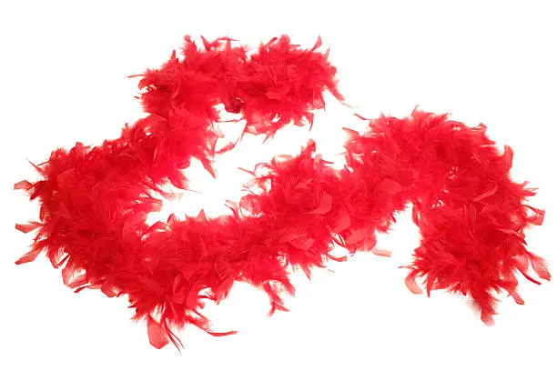 Photo of Fluffy red feather boa string on white