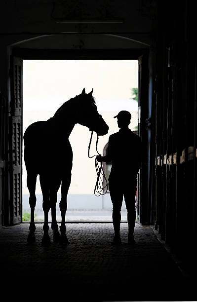 istock Horseman with his horse 155360800