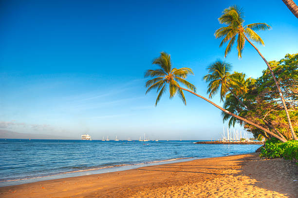 istock Hawaiian Beach in HDR 155360829