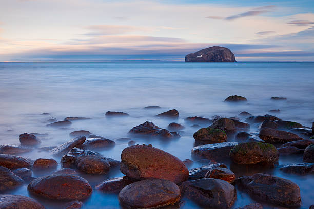 seacliff olhar para a rocha bass, lothian oriental, a escócia. - sea bass imagens e fotografias de stock