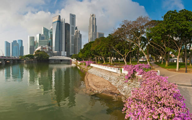 istock Singapore Central Business District skyscrapers river blossom 155361195