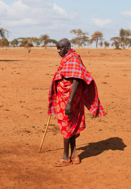 istock Old masai headman in arid landscape during dry season 155361377