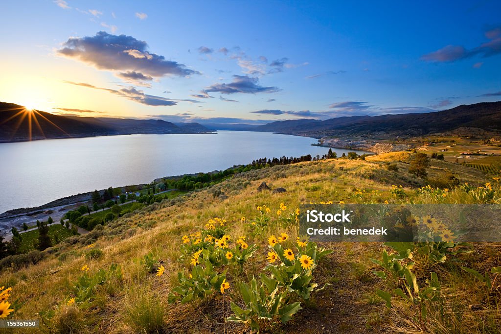 Glorioso Paisagem do Lago ao pôr do sol, - Royalty-free Vale de Okanagan - Colúmbia Britânica Foto de stock