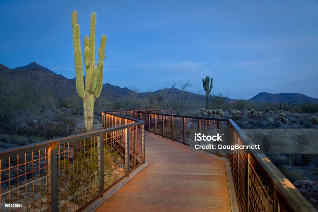 Puente y Saguaro pintados con luz - Foto de stock de Scottsdale libre de derechos
