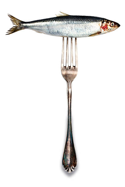 Isolated Herring on Fork Isolated Herring on Fork. kipper stock pictures, royalty-free photos & images