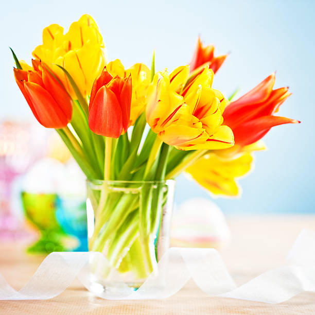 tulpen in vase - chicken egg flash stock-fotos und bilder