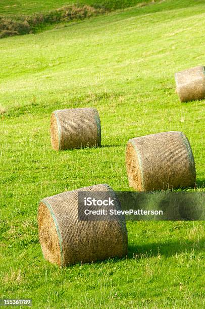 Foto de Fardos De Feno Em Campo Aberto e mais fotos de stock de Agricultura - Agricultura, Campo, Cena Rural