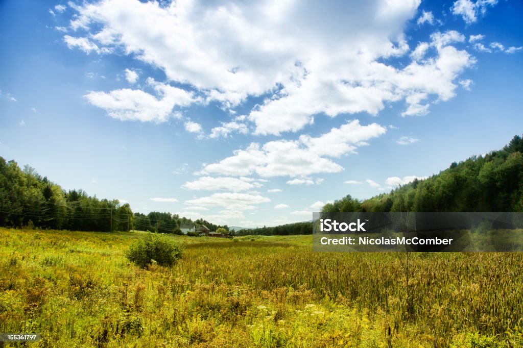 Vermont Valley paesaggio - Foto stock royalty-free di Estate