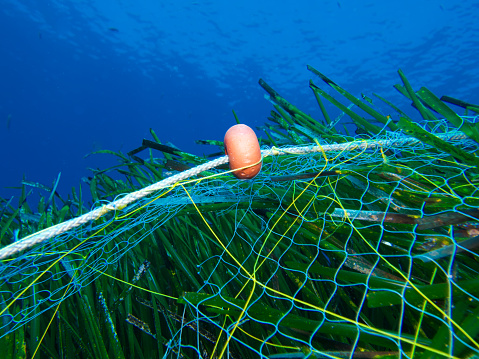 Ghost nets among Posidonia oceanica