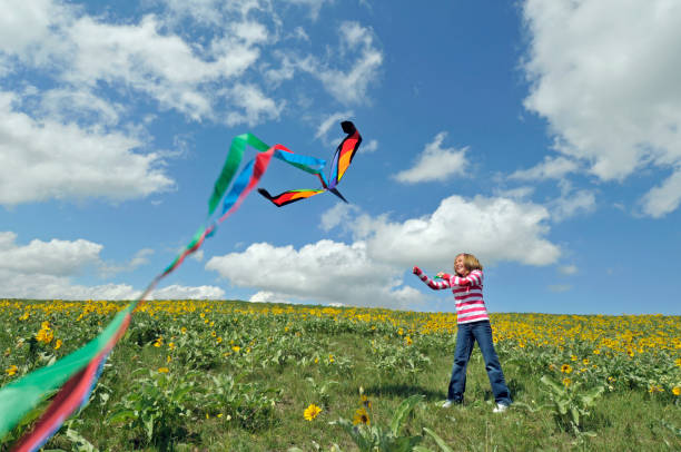 istock Girl flies kits in flower filled meadow 155362008