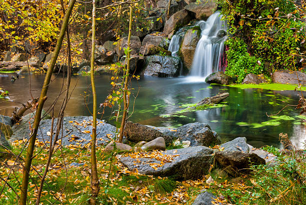 istock Isolated waterfall with autumn colors 155365023