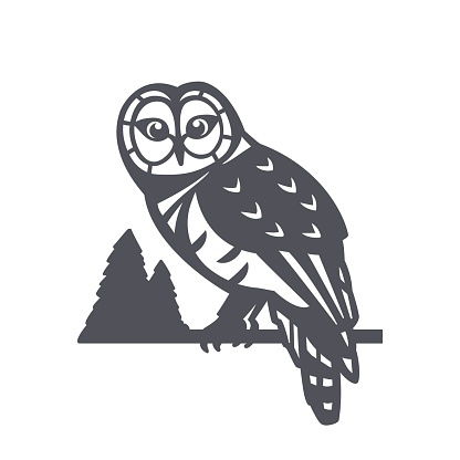 Barred owl sitting on a branch, vector illustration