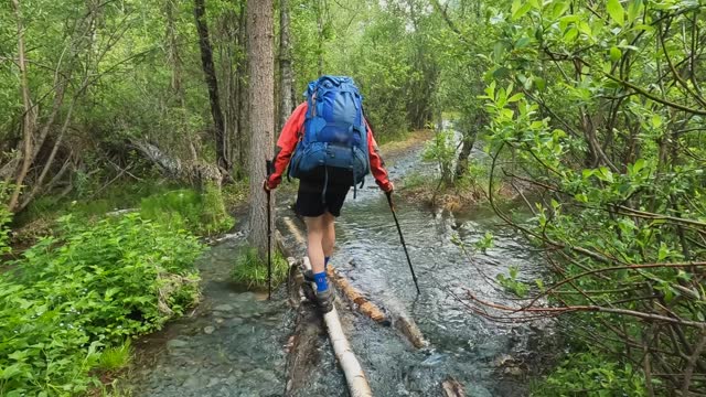 A guy with a big backpack crosses a mountain river in the forest on logs. Beautiful nature of Altai, Russia