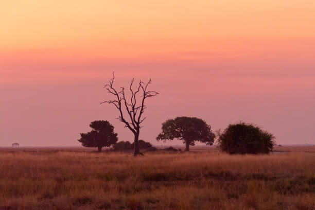 Free picture: red, beautiful, African, sunset