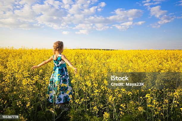 Menina No Campo De Colza - Fotografias de stock e mais imagens de Amarelo - Amarelo, Ao Ar Livre, Azul