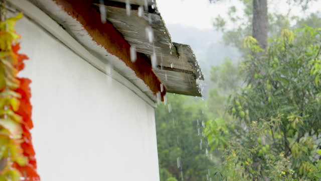 Rain falling from roof of old house against trees and plants during monsoon