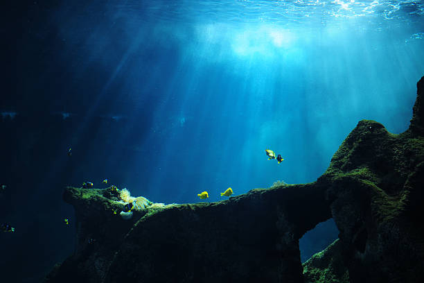 mundo submarino-xl - sunbeam underwater blue light fotografías e imágenes de stock