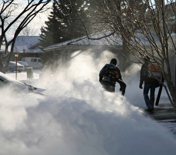 istock The Business Of Snowblowing 155369074