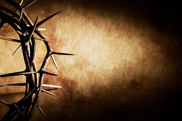 Crown of Thorns on a Black Background