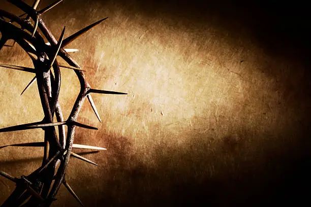 Photo of Crown of Thorns on Grunge Background